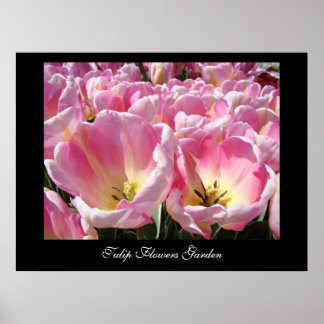 Tulip Flower Garden art prints PINK Tulips
