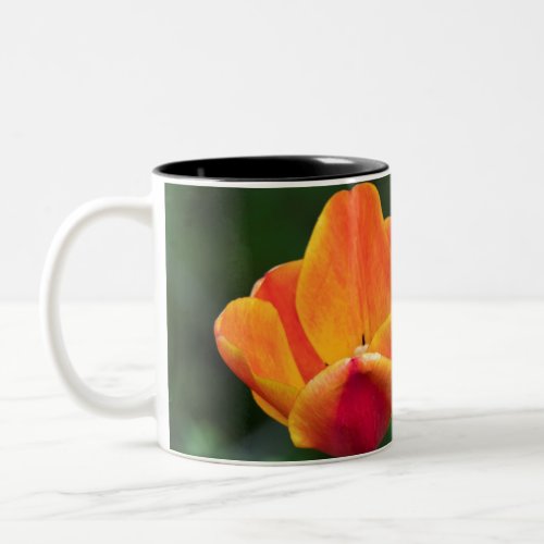 tulip flower in spring in the garden Two_Tone coff Two_Tone Coffee Mug