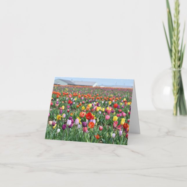Tulip Flower Landscape Greeting Card (Front)