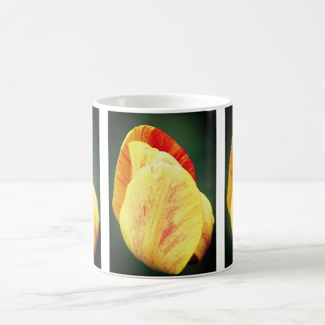 Tulip Flower Petals Coffee Mug (Center)