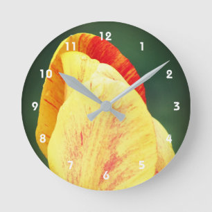 Tulip Flower Petals With Raindrops Close Up Round Clock