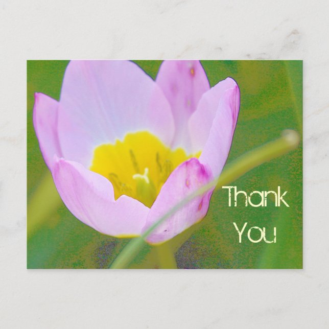 tulip flower thank you blank card (Front)