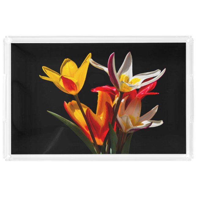 Tulip flowers against black background acrylic tray (Front)