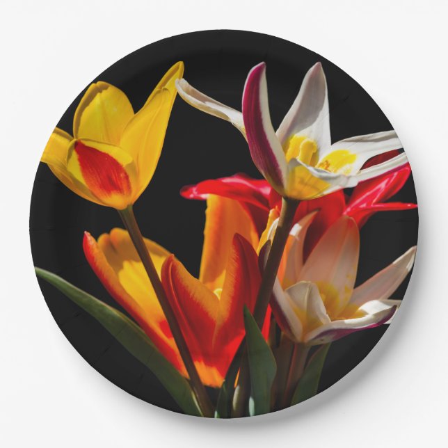 Tulip flowers against black background paper plates (Front)