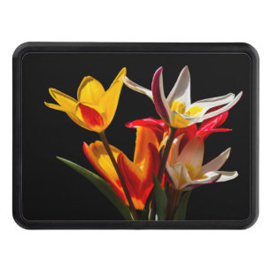 Tulip flowers against black background tow hitch cover