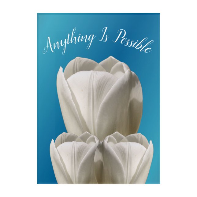 Tulip Flowers Anything Is Possible Inspirational   Acrylic Print (Front)