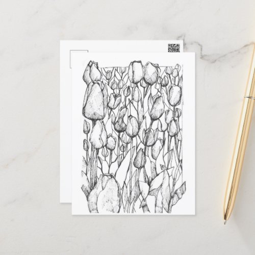 Tulip Flowers Black White Pen Ink Drawing Art Postcard