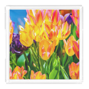 Tulip Flowers - Flourish Acrylic Tray