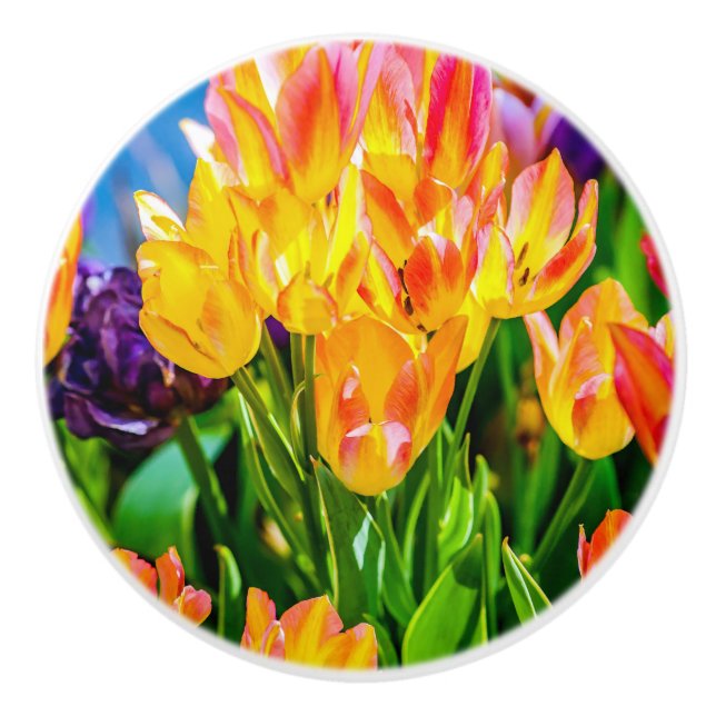 Tulip Flowers - Flourish Ceramic Knob (Front)