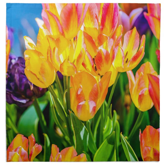 Tulip Flowers - Flourish Napkin (Front)