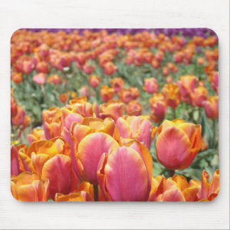 Tulip Flowers mousepads Tulips Festival Floral