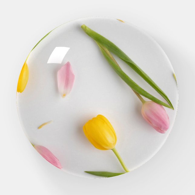 Tulip Flowers  Paperweight (Front)
