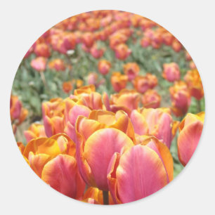 Tulip Flowers stickers Envelope seals Spring