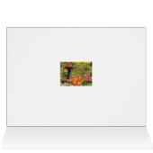 Tulip fountain card (Inside Horizontal (Top))