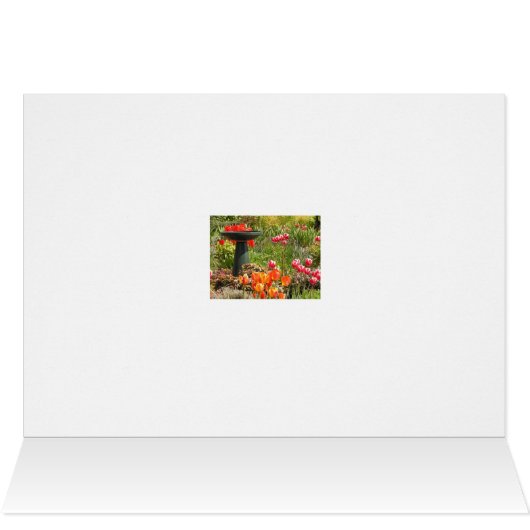 Tulip fountain card (Inside Horizontal (Top))