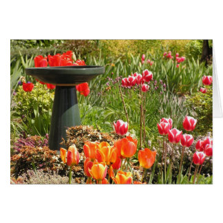 Tulip fountain card