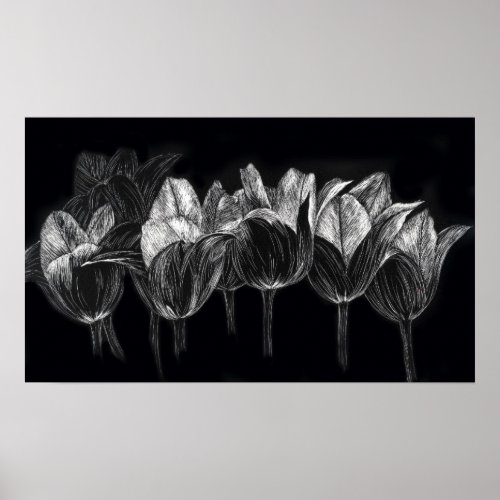 Tulip Garden Black White Scratchboard Art Poster