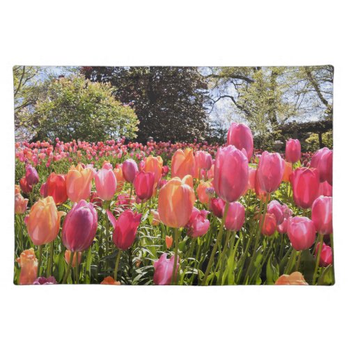 Tulip Garden Cloth Placemats