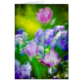 Tulip garden, Giverny, France (Front)