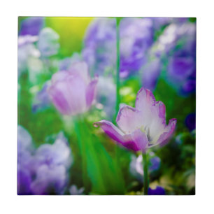 Tulip garden, Giverny, France Ceramic Tile