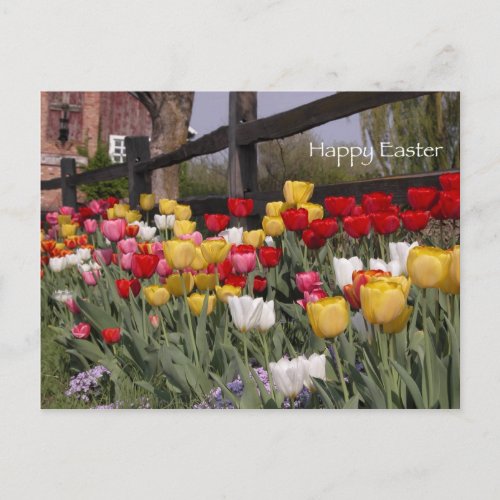 Tulip Garden Happy Easter Holiday Postcard