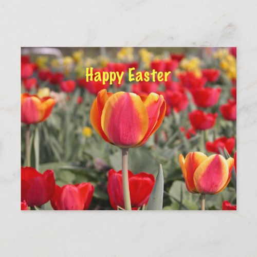 Tulip Garden Happy Easter Holiday Postcard