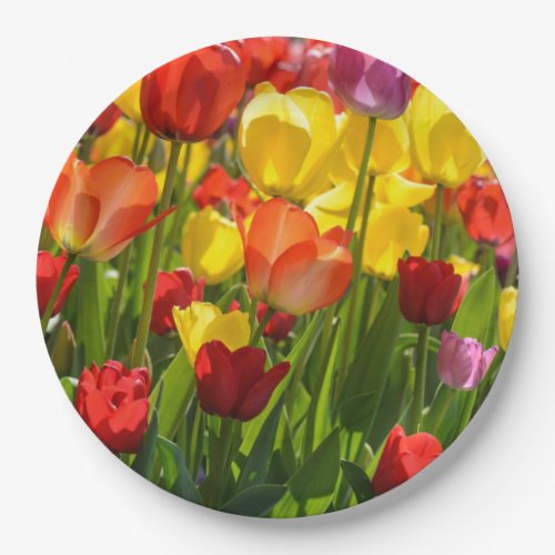 Tulip Garden in the Spring Paper Plates