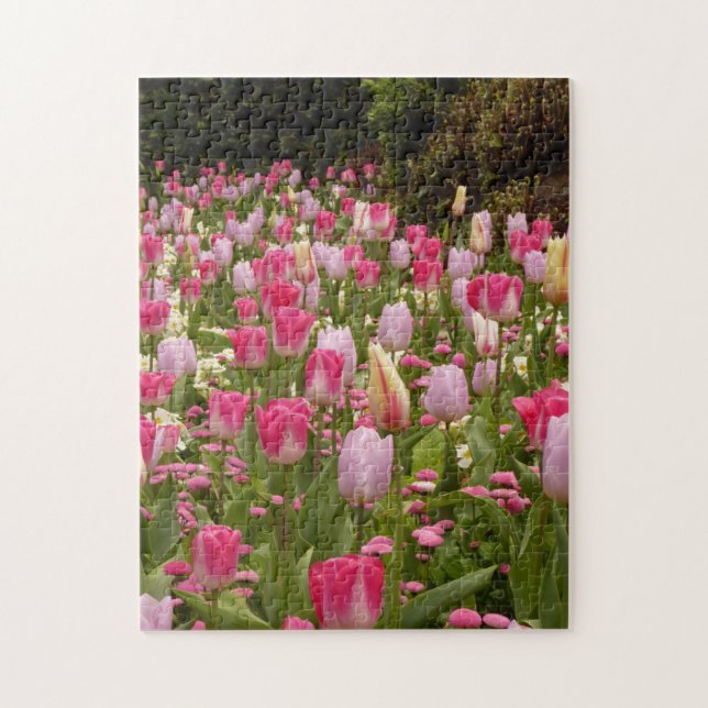 Tulip garden! jigsaw puzzle (Vertical)