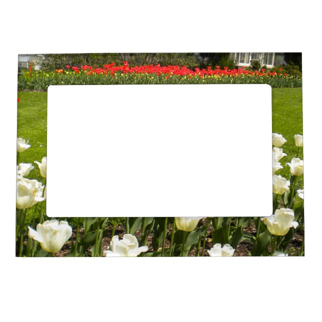 Tulip Garden Magnetic Photo frame (Front)