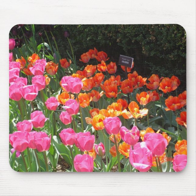 Tulip garden mousepad (Front)
