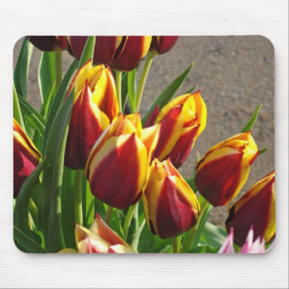 Tulip Garden mousepad gifts Floral Garden Bright