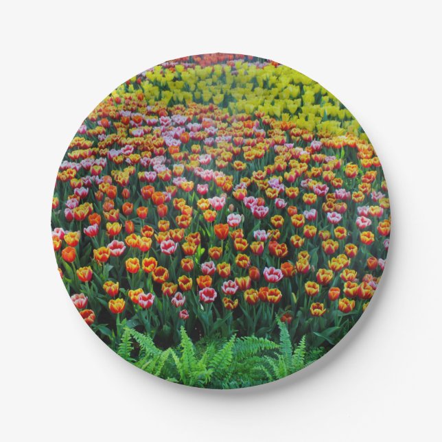 Tulip Garden Paper Plates (Front)