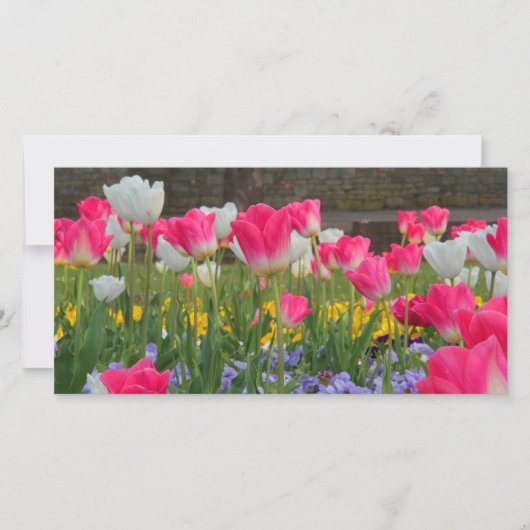 Tulip Garden Photocard (Front)