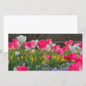 Tulip Garden Photocard (Front/Back)