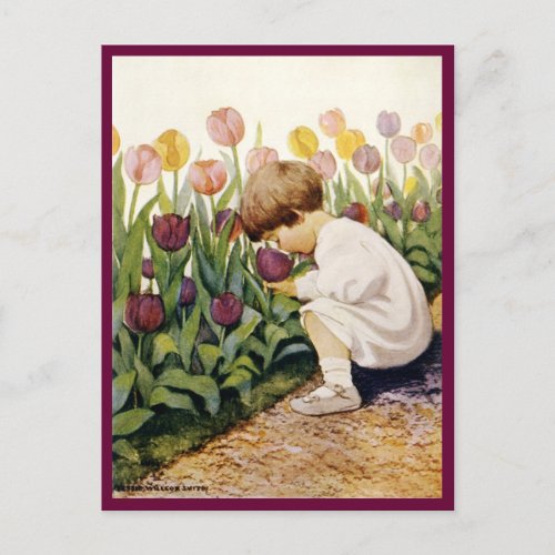 Tulip Garden Postcard