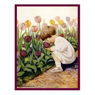 Tulip Garden Postcard