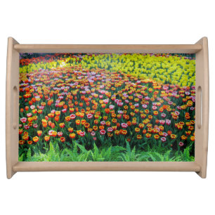 Tulip Garden Serving Tray