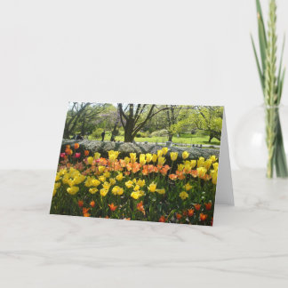 Tulip Garden View greeting card