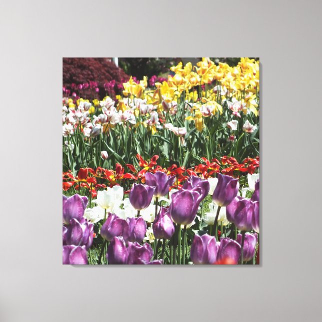 Tulip Garden Wrapped Canvas Print (Front)