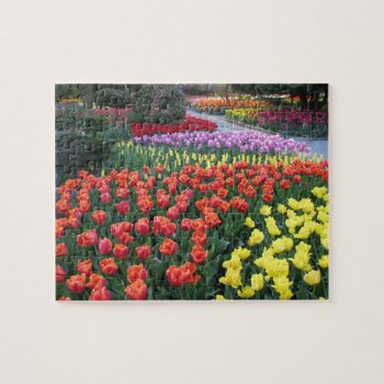 Tulip Gardens Jigsaw Puzzle by northwest_photograph at Zazzle