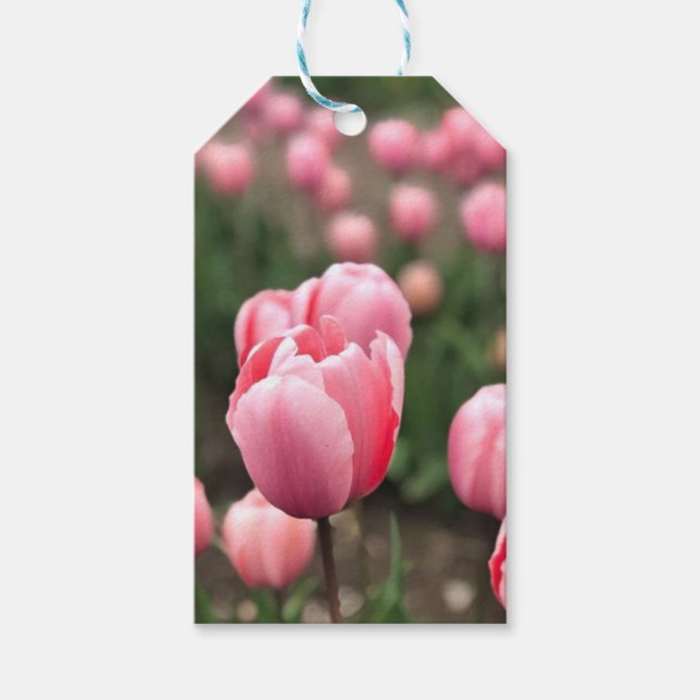 TULIP GIFT TAGS (Front)