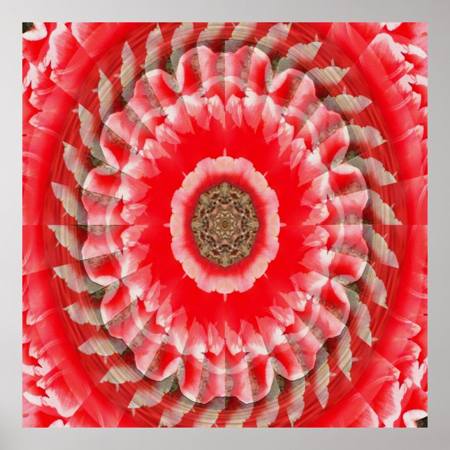 Tulip Illusion...... Poster (Front)
