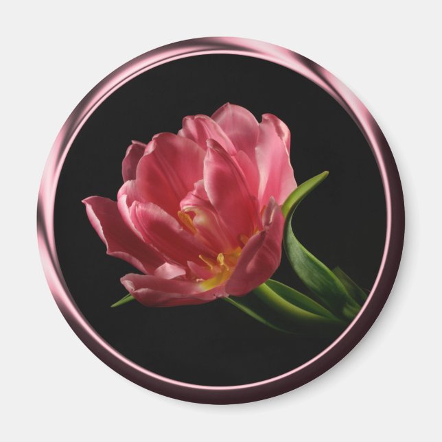Tulip In Spring Double Bloom Photo Magnet (Front)