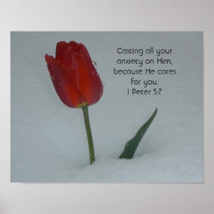 Tulip in the Snow Poster