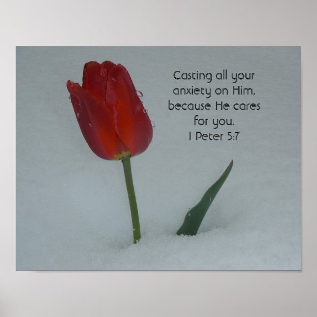Tulip in the Snow Poster (Front)