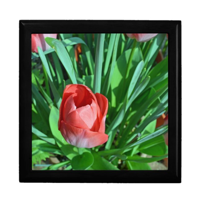 Tulip jewelry box (Front)
