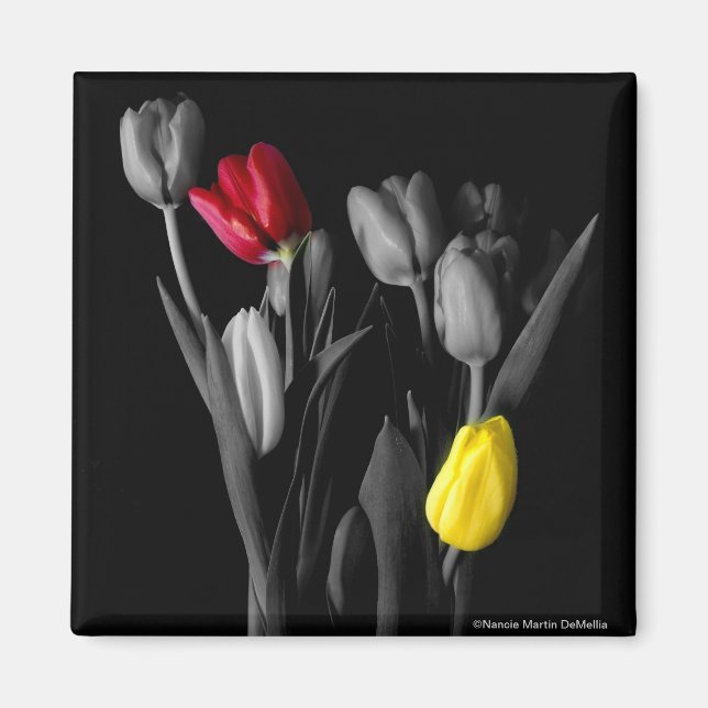 Tulip-Magnet Magnet (Front)