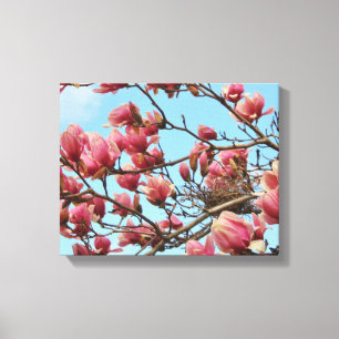 Tulip Magnolia tree with Birdsnest on Canvas