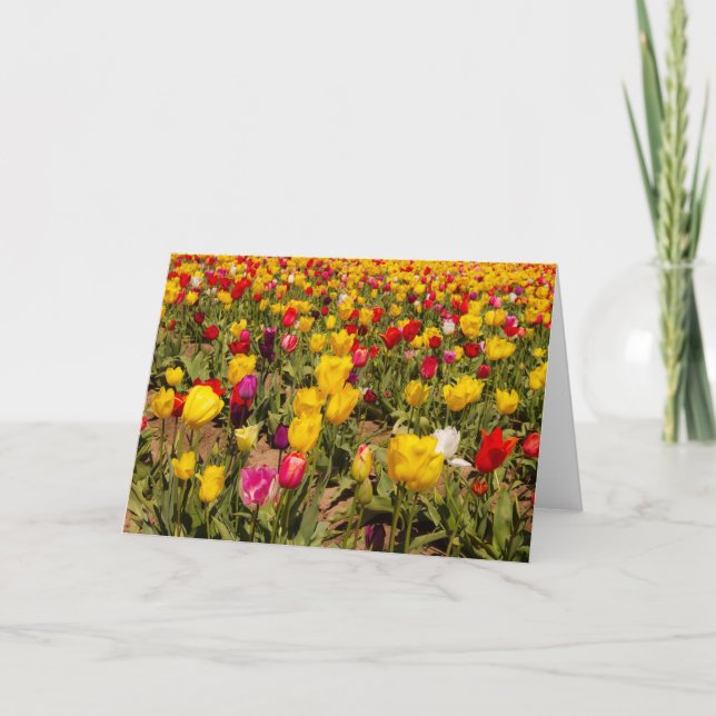 Tulip mania blank greeting Card (Front)