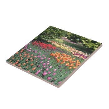 Tulip Meadow Ceramic Tile by northwest_photograph at Zazzle